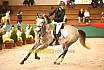 Samstag E Springen
