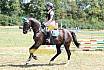 Sonntag Springreiterwettbewerb