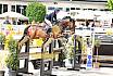 Fr Ladies Cup M ein Stern