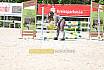 Freitag Springpferde A1