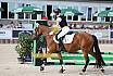 Freitag Springreiter WB