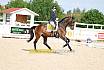 So M Dressur Jugend Trophy