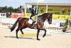 So M Dressur Jugend Trophy