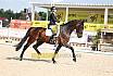 So M Dressur Jugend Trophy