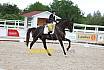So M Dressur Jugend Trophy