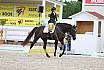 So M Dressur Jugend Trophy