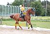 Sa und So Quadrille