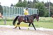 Sa und So Quadrille