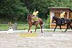 Sa und So Quadrille