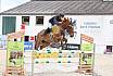 Freitag Springpferde L 