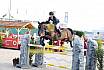 Sonntag Youngster 7j&auml;hrig