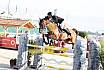 Sonntag Youngster 7j&auml;hrig