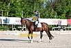 Samstag E Dressur