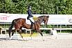 Samstag E Dressur