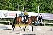 Samstag E Dressur