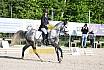 Samstag E Dressur