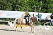 Samstag E Dressur