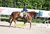Samstag E Dressur