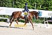 Samstag E Dressur