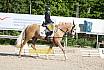 Samstag E Dressur