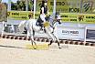 Freitag Springreiterwettbewerb