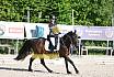 Samstag E Dressur