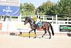 Freitag Springreiterwettbewerb