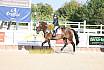 Freitag Springreiterwettbewerb