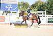 Freitag Springreiterwettbewerb