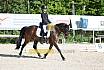 Samstag E Dressur