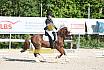 Samstag E Dressur