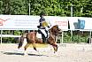 Samstag E Dressur