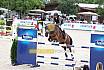 Sonntag Amateur Gold