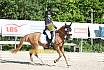 Samstag E Dressur