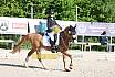 Samstag E Dressur