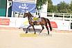Freitag Springreiterwettbewerb
