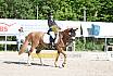 Samstag E Dressur