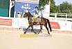 Freitag Springreiterwettbewerb