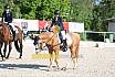 Samstag E Dressur