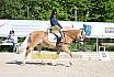 Samstag E Dressur