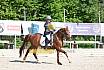Samstag E Dressur