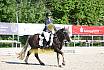 Samstag E Dressur