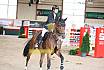 Sonntag Finale Youngster