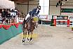 Sonntag Finale Youngster