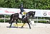 Samstag E Dressur