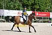 Samstag E Dressur