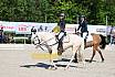 Samstag E Dressur