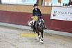 Sonntag Springreiter WB