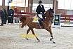 Sonntag Springreiter WB