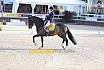 Sonntag Amateur S